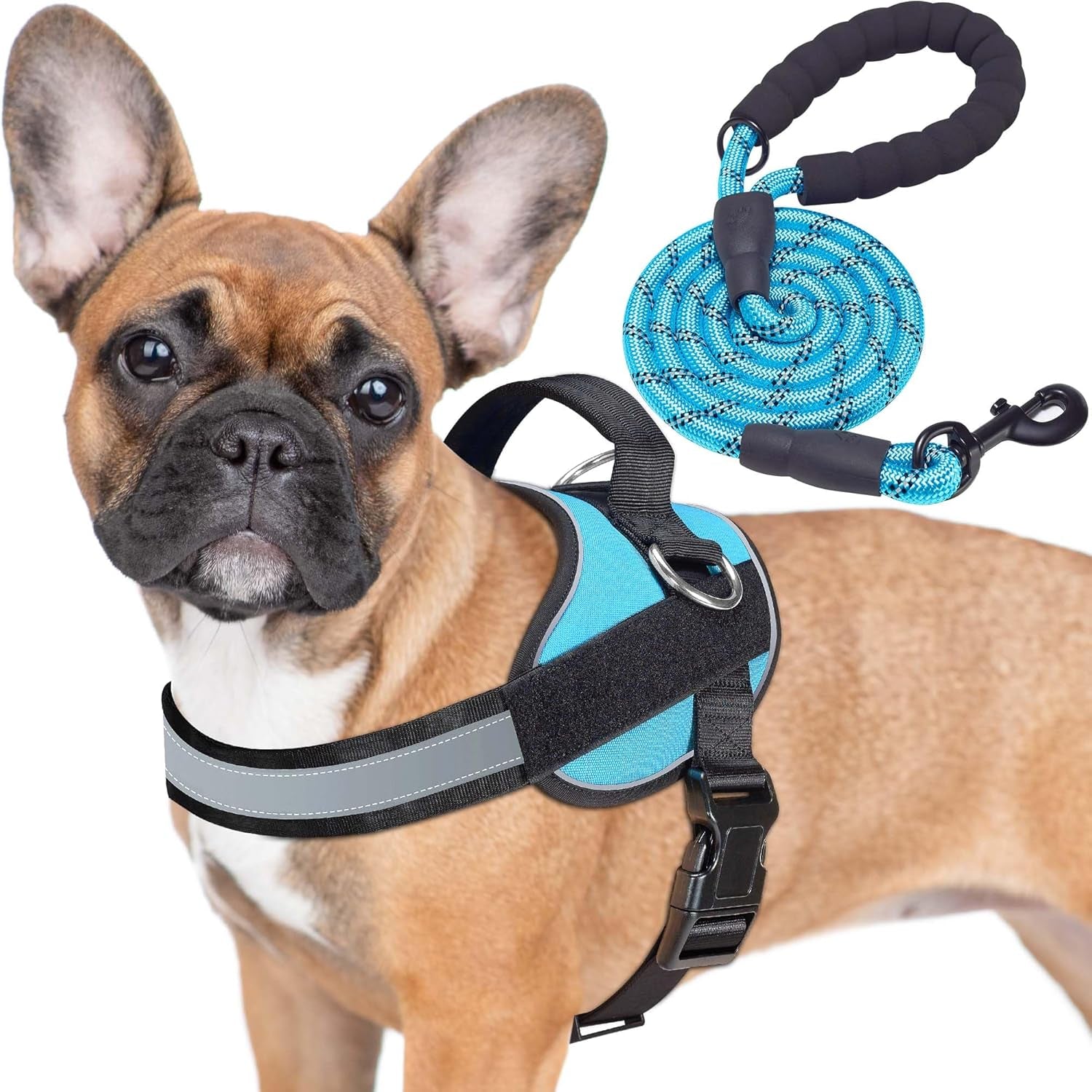 haapaw-essential-dog-harness-no-pull-pet-vest-with-3-leash-clips-no-choke-reflective-adjustable-and-padded-for-easy-walking-and-training-for-medium-dogsm-blue