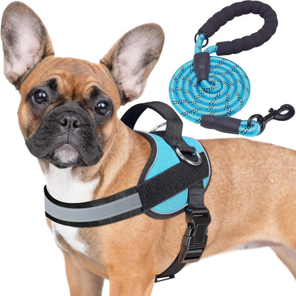 Haapaw Essential Dog Harness, No Pull Pet Vest with 3 Leash Clips, No Choke, Reflective, Adjustable and Padded, for Easy Walking and Training for Medium Dogs(M, Blue)1