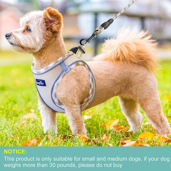 Haapaw Dog Harness with Leash Set, No Pull Adjustable Reflective Step-In Puppy Harness with Thickened Padded Vest for Extra-Small/Small Medium Dogs4