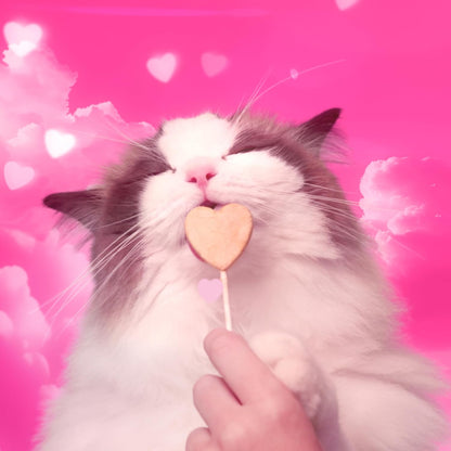 Bonkers Purrpops Freeze-Dried Chicken Liver Flavored Lollipop Cat Treats, 4 Pieces (Pack of 13)6