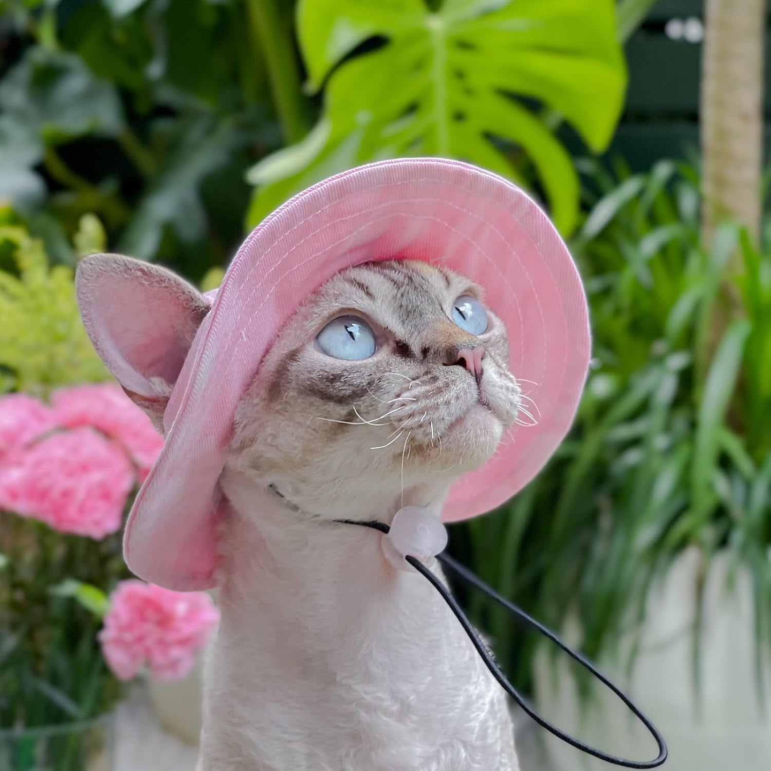 pet-hat-with-ear-holes-sunscreen-baseball-cap-suitable-for-small-and-medium-sized-dogs-outdoor-climbing-hat-in-summer-pet-products-pink-large