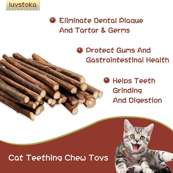 Silvervine Sticks for Cats, 30PCS Kitten Toys Catnip Toys Matatabi Silvervine Sticks Kitty Chew Toys Wooden Stick Kitten Teething Toys Molar Suitable for Cats of All Ages4