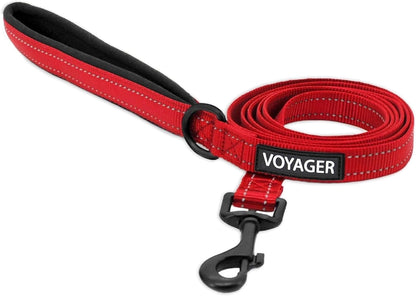 Best Pet Supplies Voyager Nylon Dog Leash - Fuchsia, Small | 5Ft in Length, 5/8" in Width, Reflective, Soft Neoprene Handle, Heavy Duty Metal Clips for Running, Walking & Training27