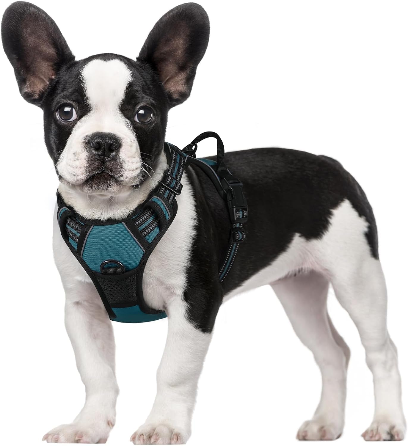 rabbitgoo-dog-harness-no-pull-for-large-dogs-with-2-leash-clips-pet-vest-no-choke-with-handle-adjustable-soft-padded-reflective-easy-control-for-walking-black-large
