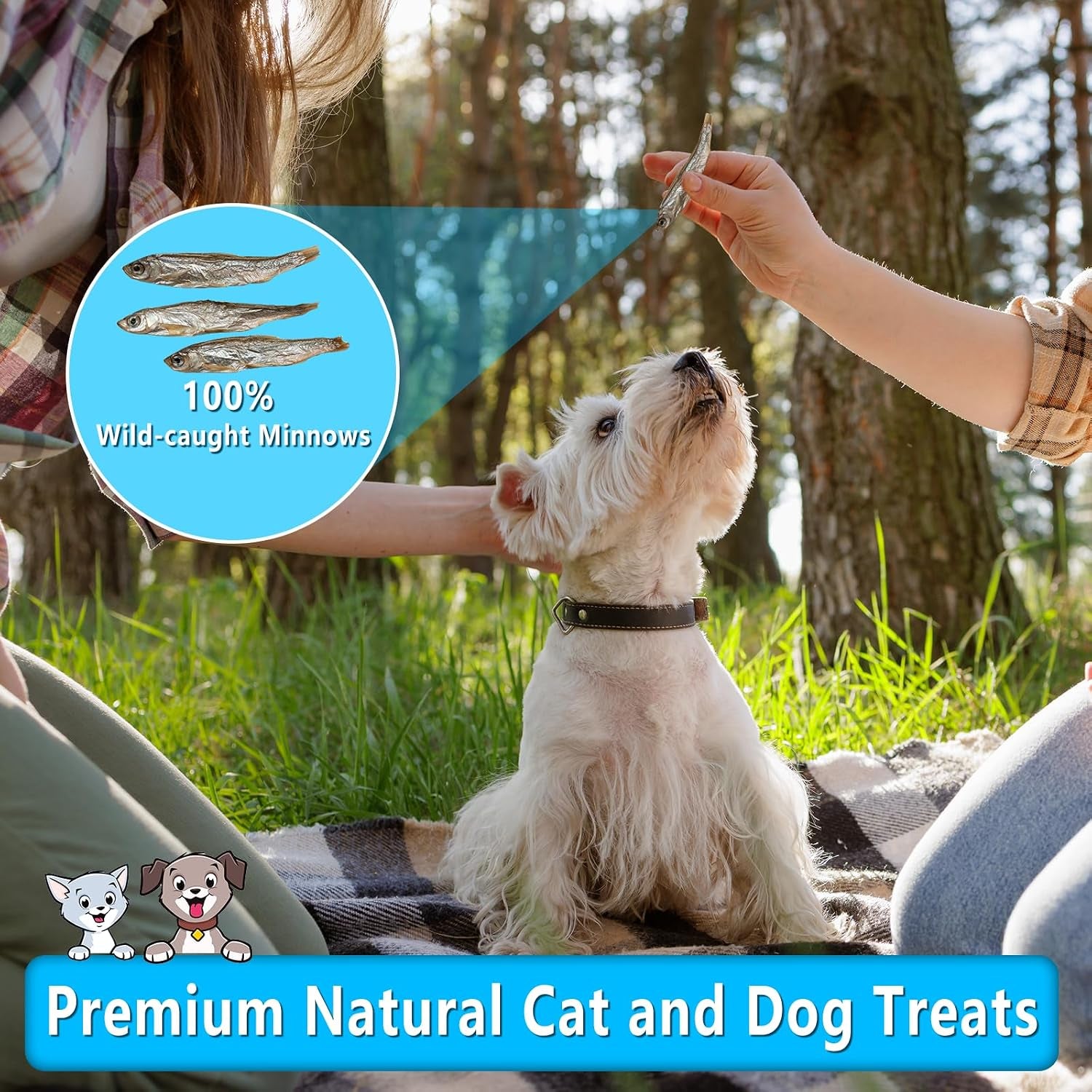 minnows-dog-treats-single-ingredient-dried-minnows-for-dogs-cats-air-dried-grain-free-high-protein-100-natural-premium-cat-dog-treats-4-5-oz