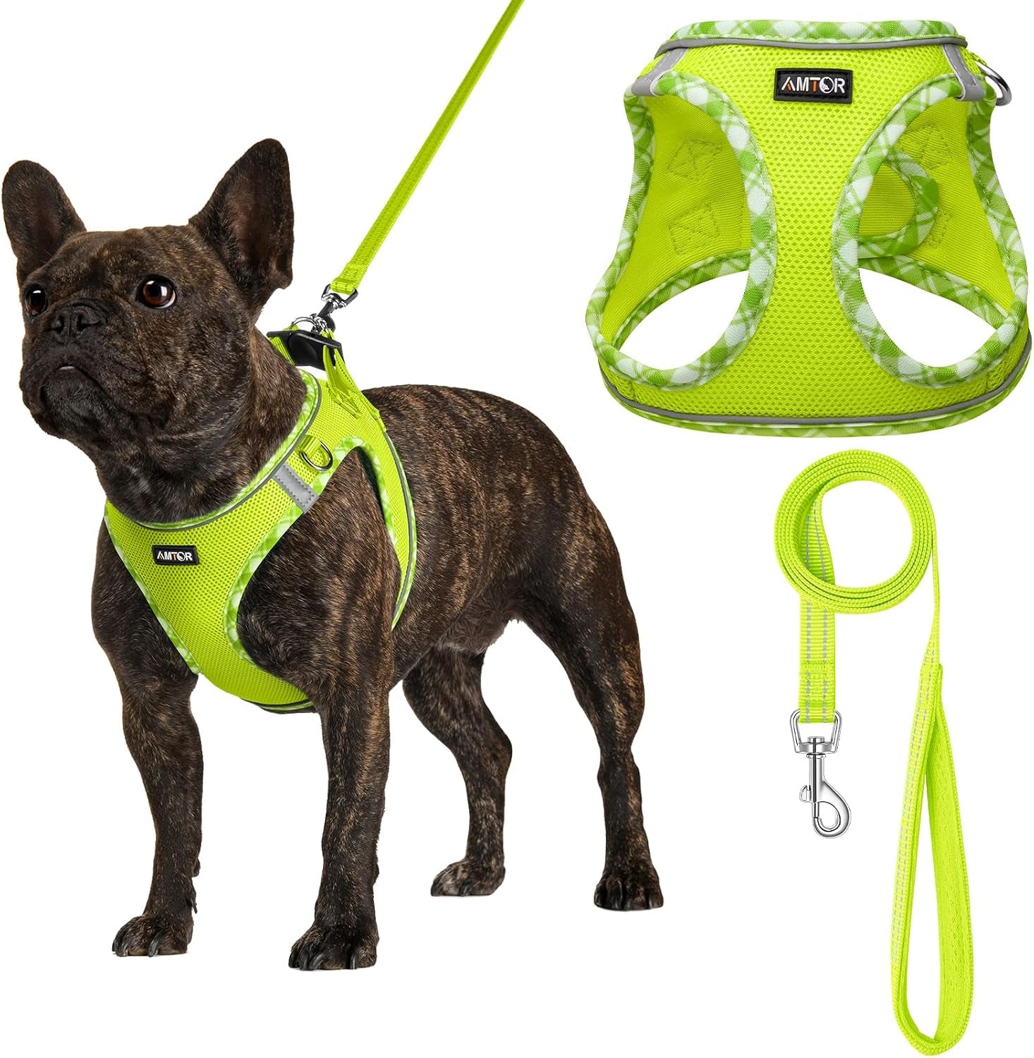 amtor-small-dog-harness-with-leash-set-no-escape-easy-walk-puppy-harnesses-for-training-walking-step-in-reflective-soft-dogs-vest-for-xs-s-medium-extra-small-large-sized-doggreen-s