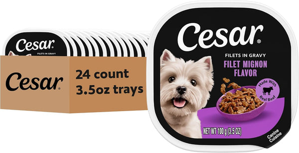 Cesar Filets in Gravy Wet Dog Food, Filet Mignon Flavor, 3.5 Oz, 24 Count | Real Beef, Easy to Digest, No Fillers, No Added Sugar, No Artificial Flavors, Slow-Cooked Tender Texture, Easy Peel Trays1