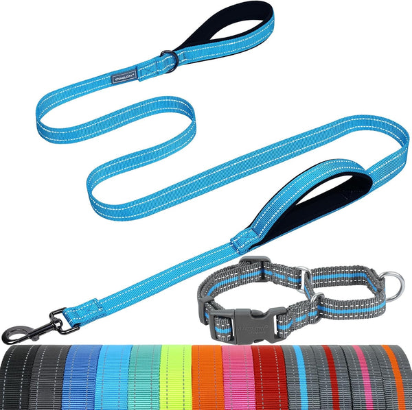 VIVAGLORY Double Handle Dog Leash Twingrip, 6Ft X 1In, Navy | Dog Leash for Collar with Traffic Handle & 2 Loop for Walking & Training, Traffic Control Reflective Heavy Duty Puppy Pet17
