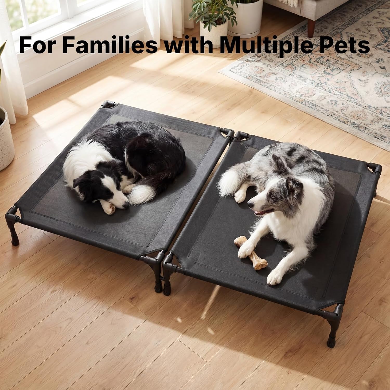 veehoo-cooling-elevated-dog-bed-raised-dog-bed-for-two-dogs-indoor-outdoor-pet-cot-with-breathable-teslin-mesh-anti-slip-rubber-feet-durable-double-dog-bed-for-multi-pet-homes-35-x-25-black