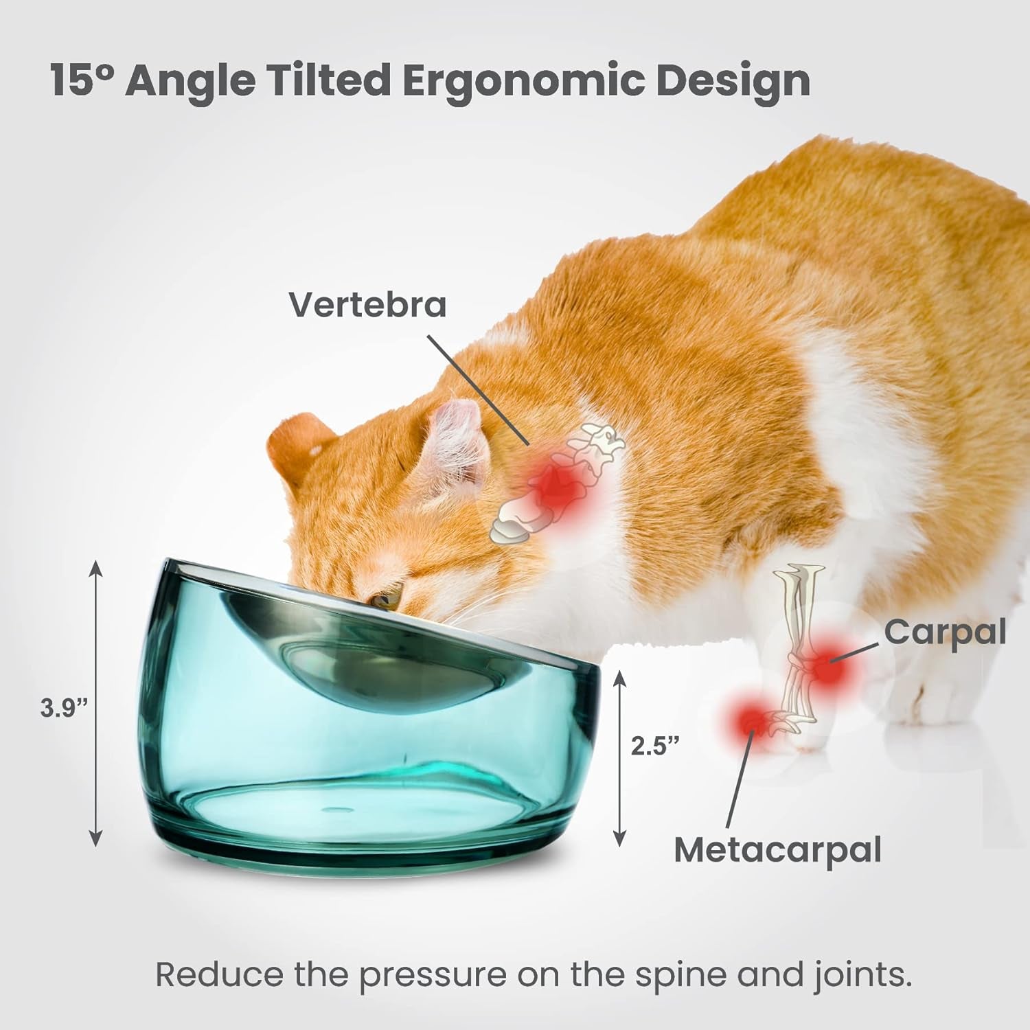 felli-oblik-elevated-cat-bowl-removable-stainless-steel-wide-dish-for-dry-wet-food-feeding-dishwasher-clean-slanted-whisker-fatigue-friendly-metal-plate-classic-0-5-cups-shallow-dish