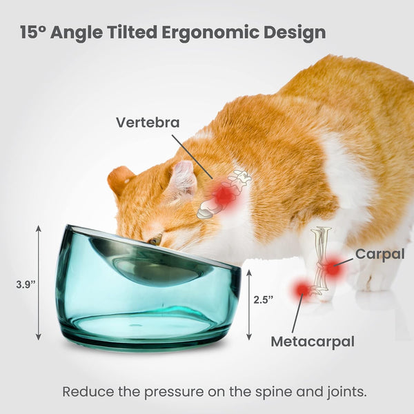 Felli Oblik Elevated Cat Bowl Removable Stainless Steel Wide Dish for Dry Wet Food Feeding & Dishwasher Clean, Slanted Whisker Fatigue Friendly Metal Plate (Classic, 0.5 Cups Shallow Dish)5