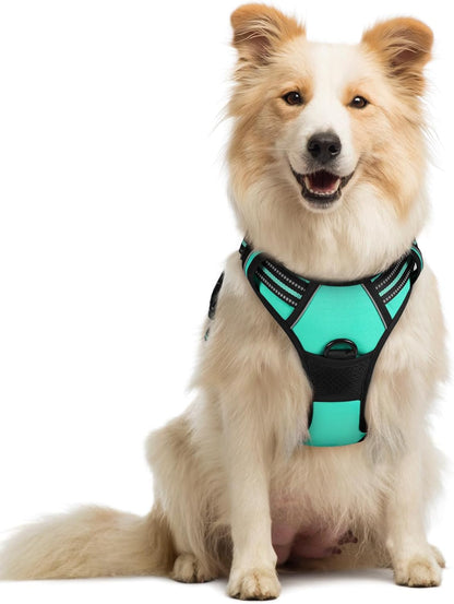 Rabbitgoo Dog Harness, No Pull for Large Dogs with 2 Leash Clips, Pet Vest | No Choke with Handle, Adjustable Soft Padded, Reflective, Easy Control for Walking, Black, Large114