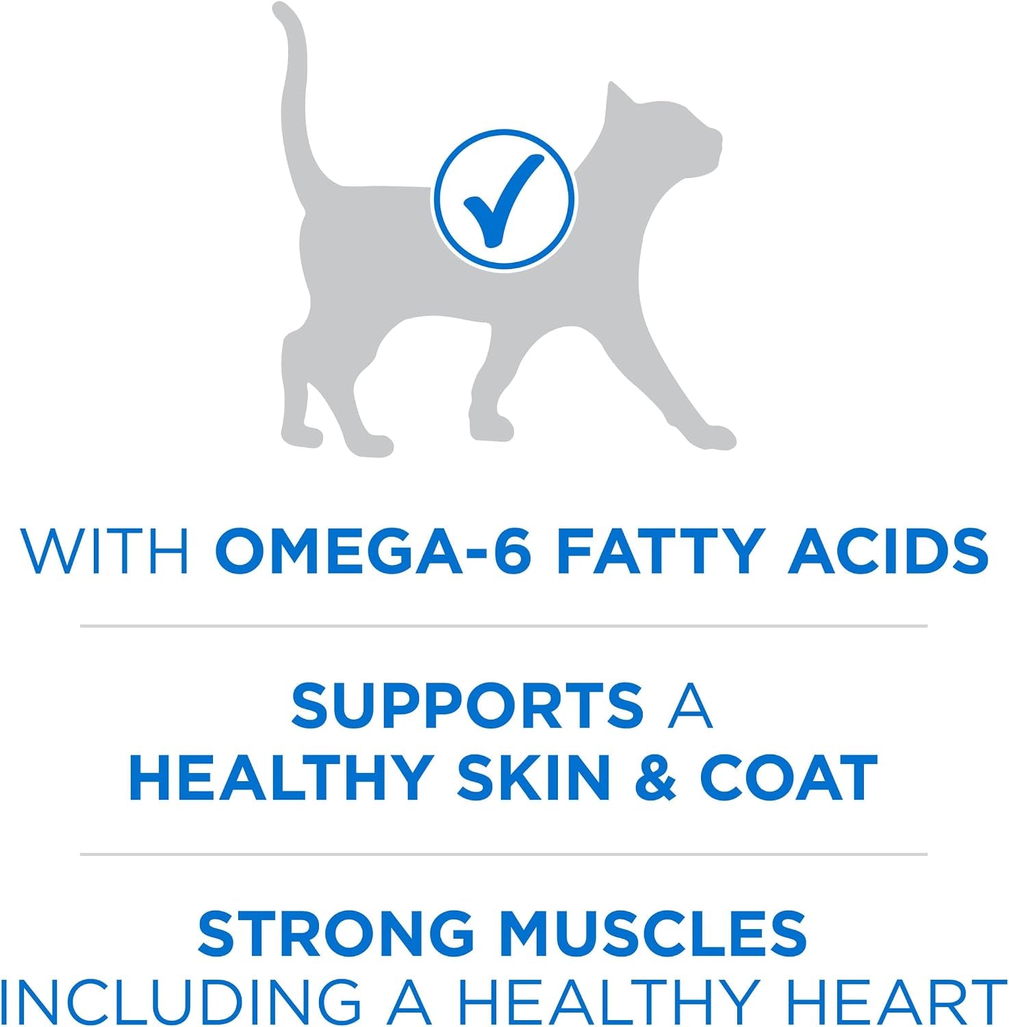 purina-one-plus-high-protein-cat-food-dry-salmon-and-ocean-whitefish-cat-skin-and-coat-health-formula-3-5-lb-bag