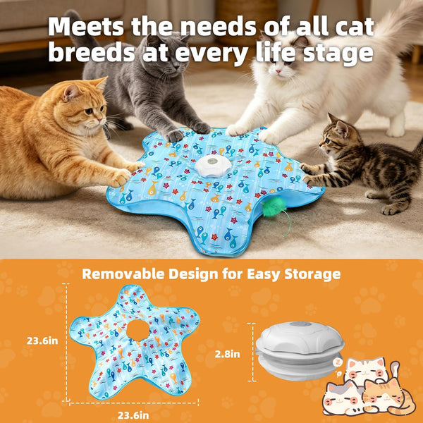 Interactive Cat Toy, Peek-A-Boo Series – Hidden Feather Wand, Rechargeable Indoor Hunting Toy, Squeaky Bird Sound, and Small Fish Pattern Cover8