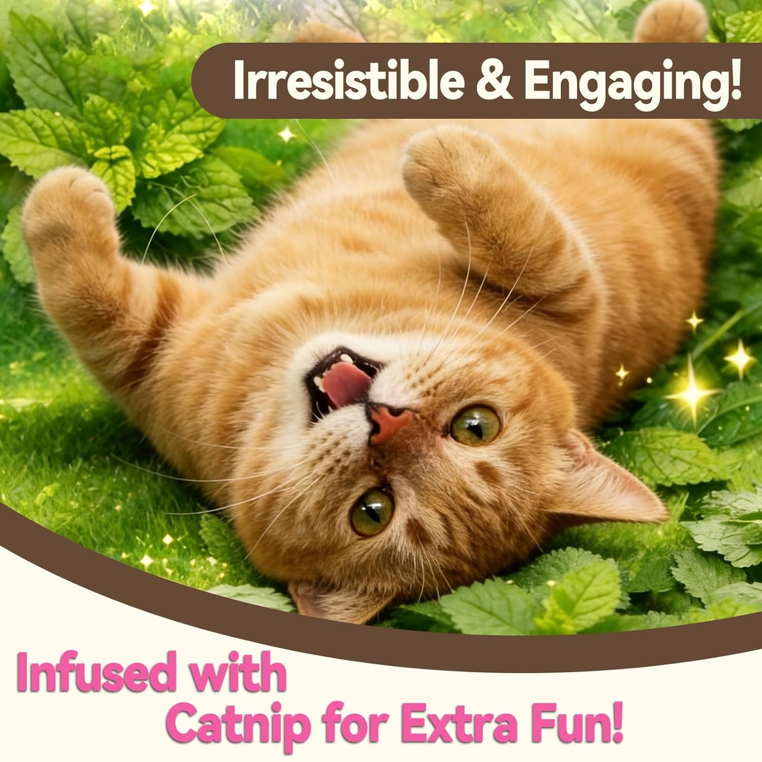catnip-cat-treats-chicken-salmon-flavor-crunchy-bites-16-oz-catnip-infused-fish-shaped-biscuits-with-chicken-and-salmon-flavors-made-for-training-rewarding-and-everyday-bonding