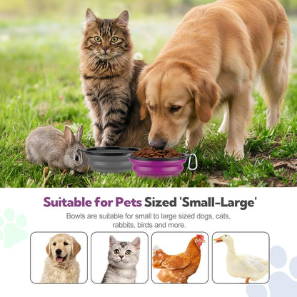 Collapsible Dog Bowl Large 34Oz, Travel Dog Water Bowl Portable | 2 Pack, 2 Carabiner Clips, Silicone Travel Dog Bowl Foldable, Feeding Watering Dish Bowl, for Parking, Walking, Camping2