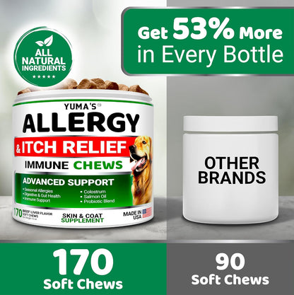 Dog Allergy Relief Chews - Dog Itching Skin Relief Treatment Pills - 170 Treats - Anti-Itch - Itchy and Paw Licking - Hot Spots - Omega 3 Fish Oil - Dry Skin & Coat Supplement - Beef Liver Flavor5