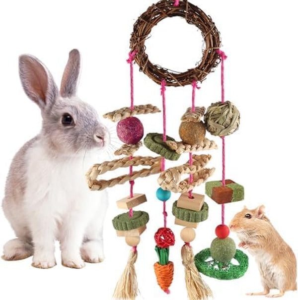 YIXUND Rabbit & Guinea Pig Toys - Natural Timothy Hay & Apple Wood Sticks for Teeth Care - Handmade for Hamster, Bunny, Chinchilla (27 Pcs)7