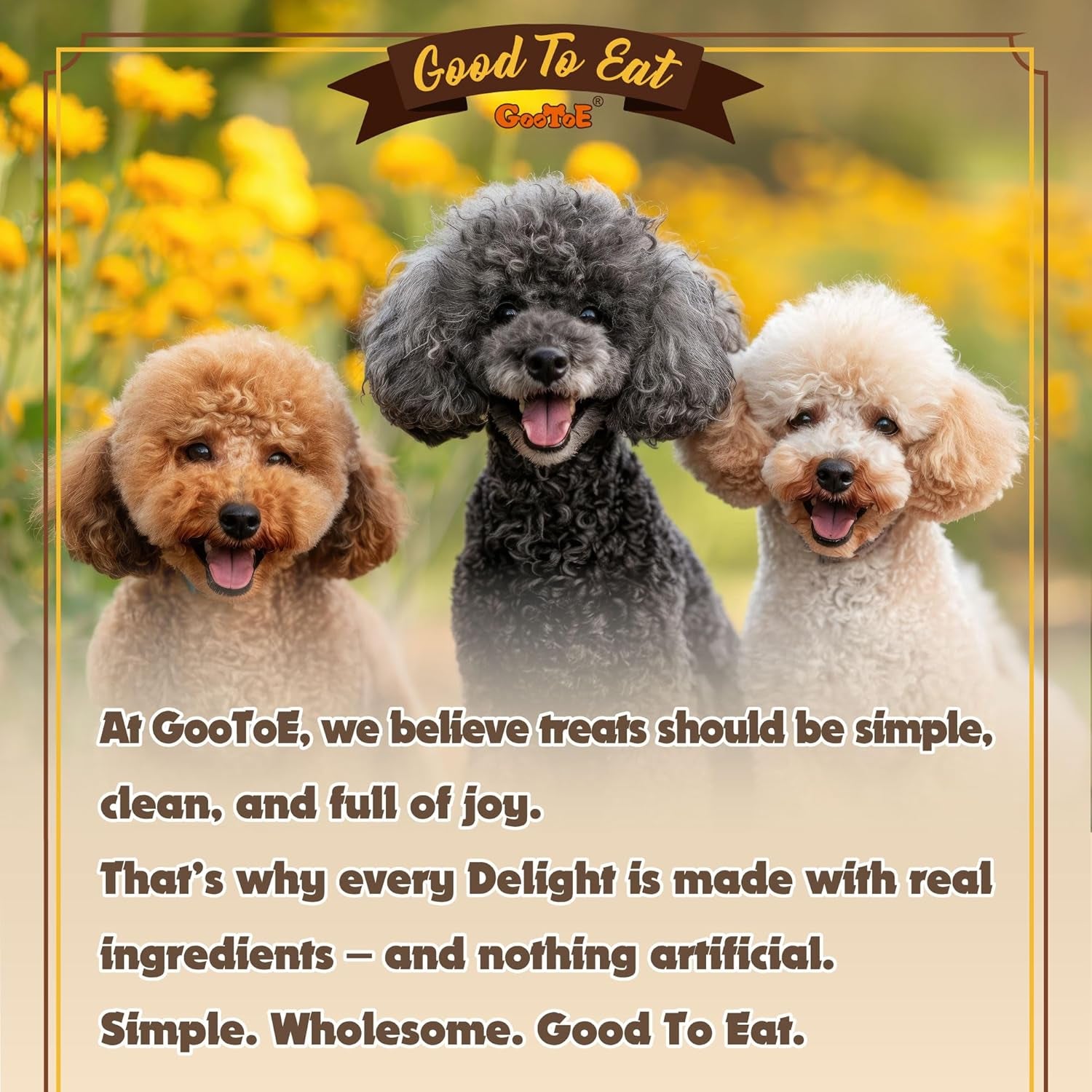 gootoe-turkey-tendons-dog-treats-for-small-breeds-bone-s-6-counts