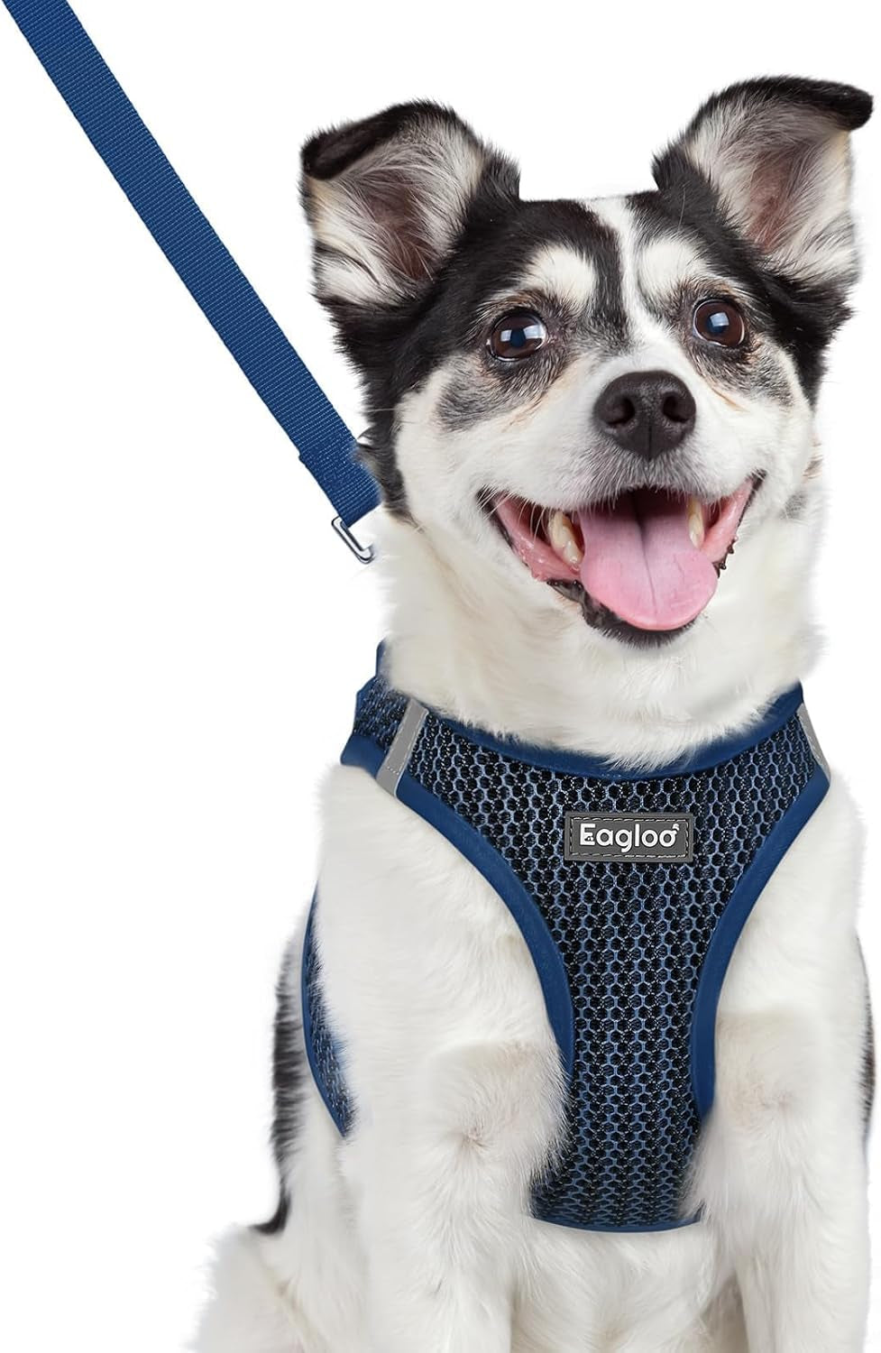 eagloo-small-dog-harness-and-leash-set-step-in-small-sized-puppy-pet-vest-light-soft-breathable-air-mesh-easy-on-and-off-with-hook-loop-reflective-for-safe-walking-pink-s