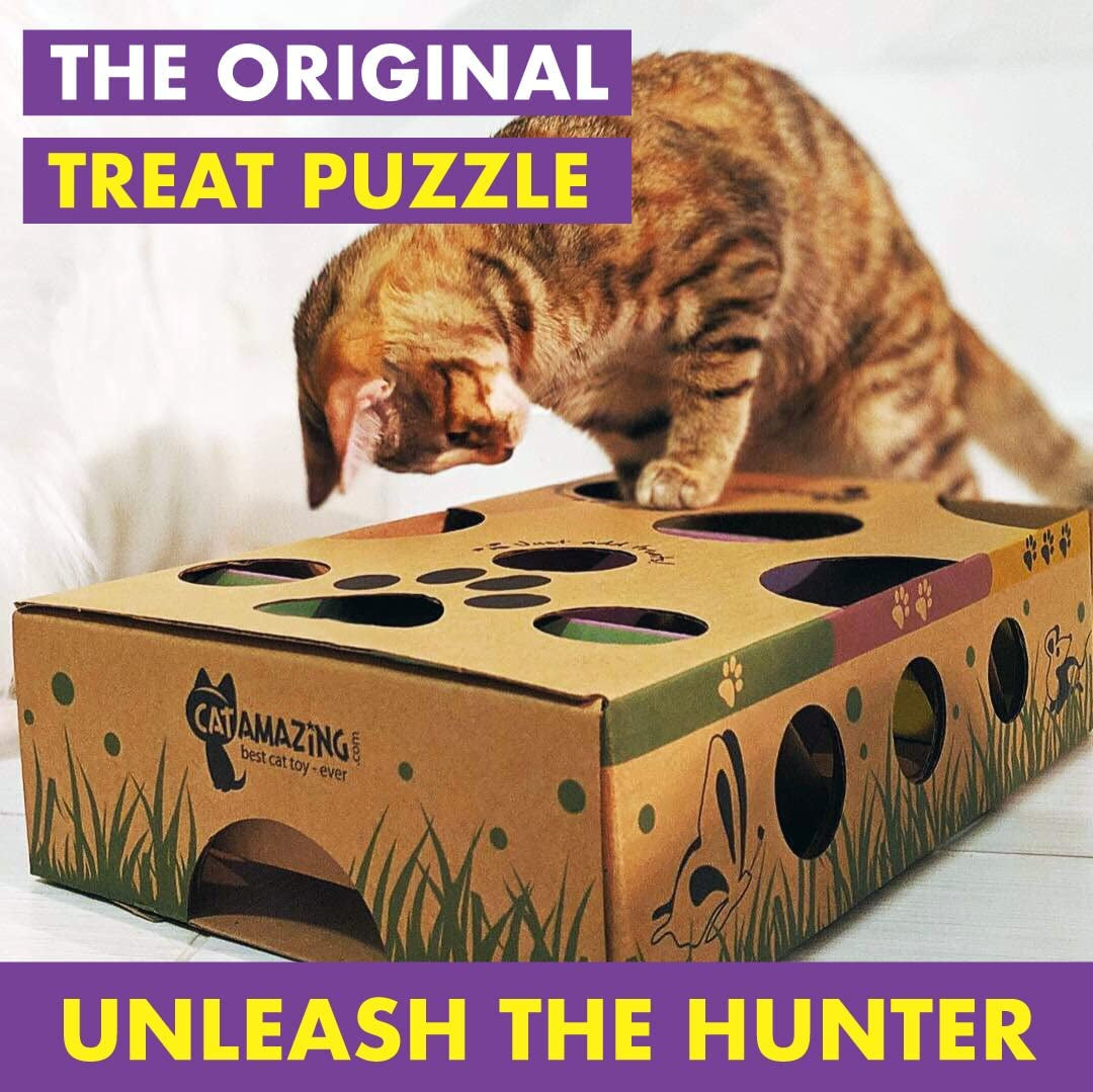 cat-amazing-interactive-treat-maze-and-puzzle-cat-toy