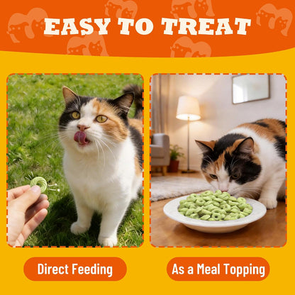9 Oz Catnip Cat Treats with Vitamins, Teeth Cleaning & Training | All-Natural Chicken, Salmon, Catnip & Barley Grass. Crunchy Cleans Teeth, Freshens Breath. Helps Hairballs & Digestion.8