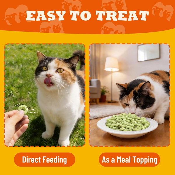 9 Oz Catnip Cat Treats with Vitamins, Teeth Cleaning & Training | All-Natural Chicken, Salmon, Catnip & Barley Grass. Crunchy Cleans Teeth, Freshens Breath. Helps Hairballs & Digestion.8