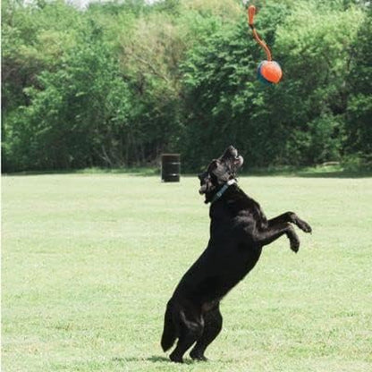 Chuckit! Rope Fetch Dog Toy - Ball on Rope Fetch and Tug-Of-War Toy for Dogs - Durable EVA Rubber Construction - 5.5-Inch Diameter - 18-Inch Rοpe - Orange and Blue2