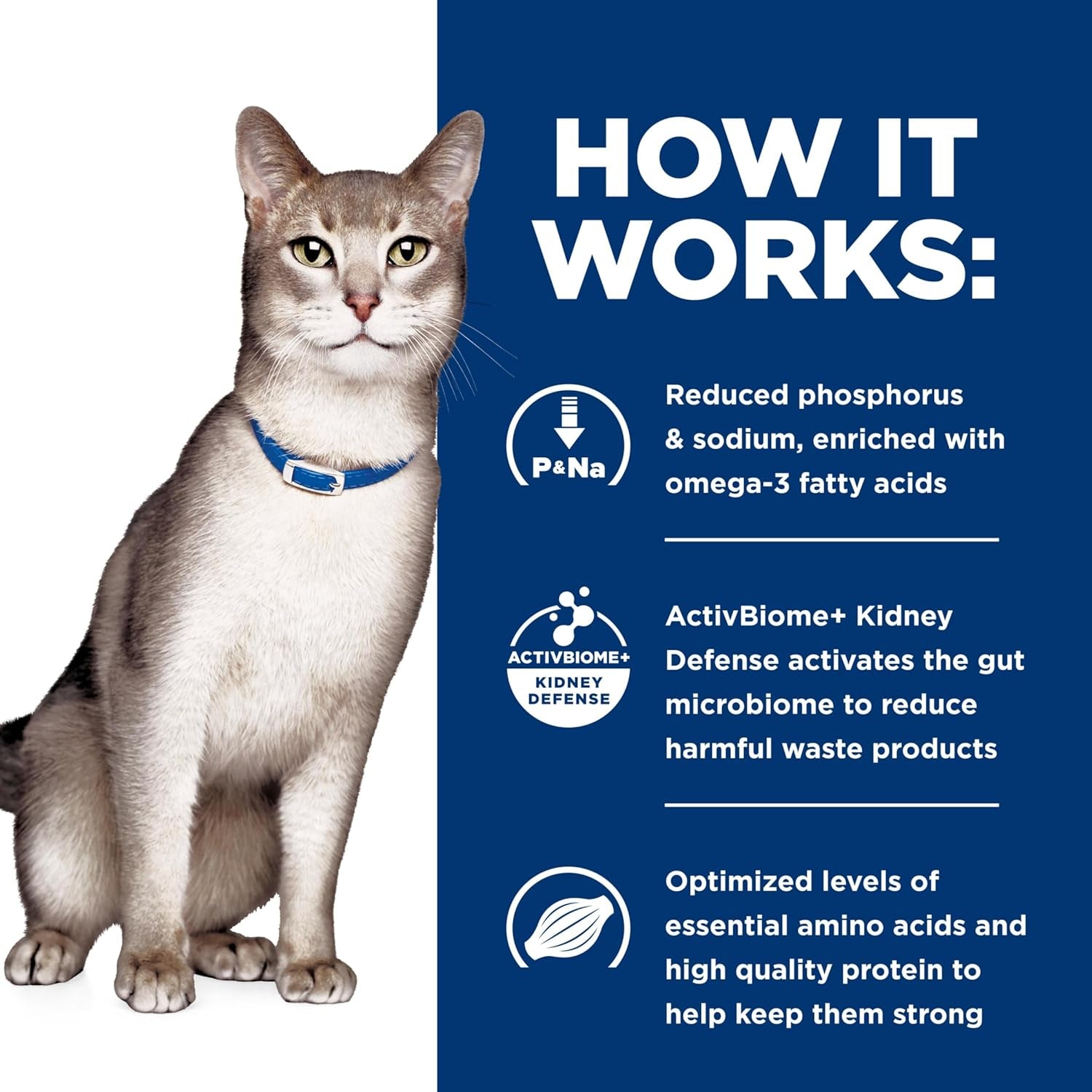 hills-prescription-diet-k-d-kidney-care-dry-cat-food-ocean-fish-4-lb-bag