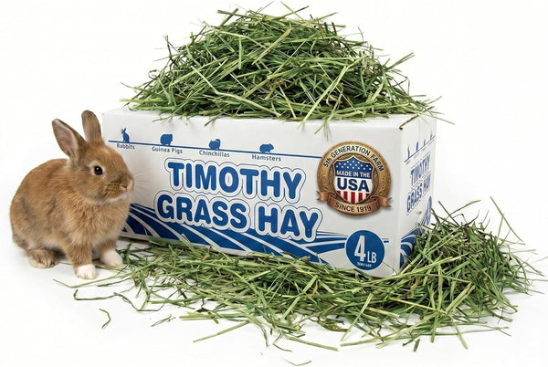 High Desert 2Nd Cutting Timothy Hay for Rabbits, Guinea Pigs, 4 Lb | Soft Leafy Texture with Balanced Fiber, Supports Healthy Digestion, Great for Chinchillas, Hand Packed in the USA, Low Dust1