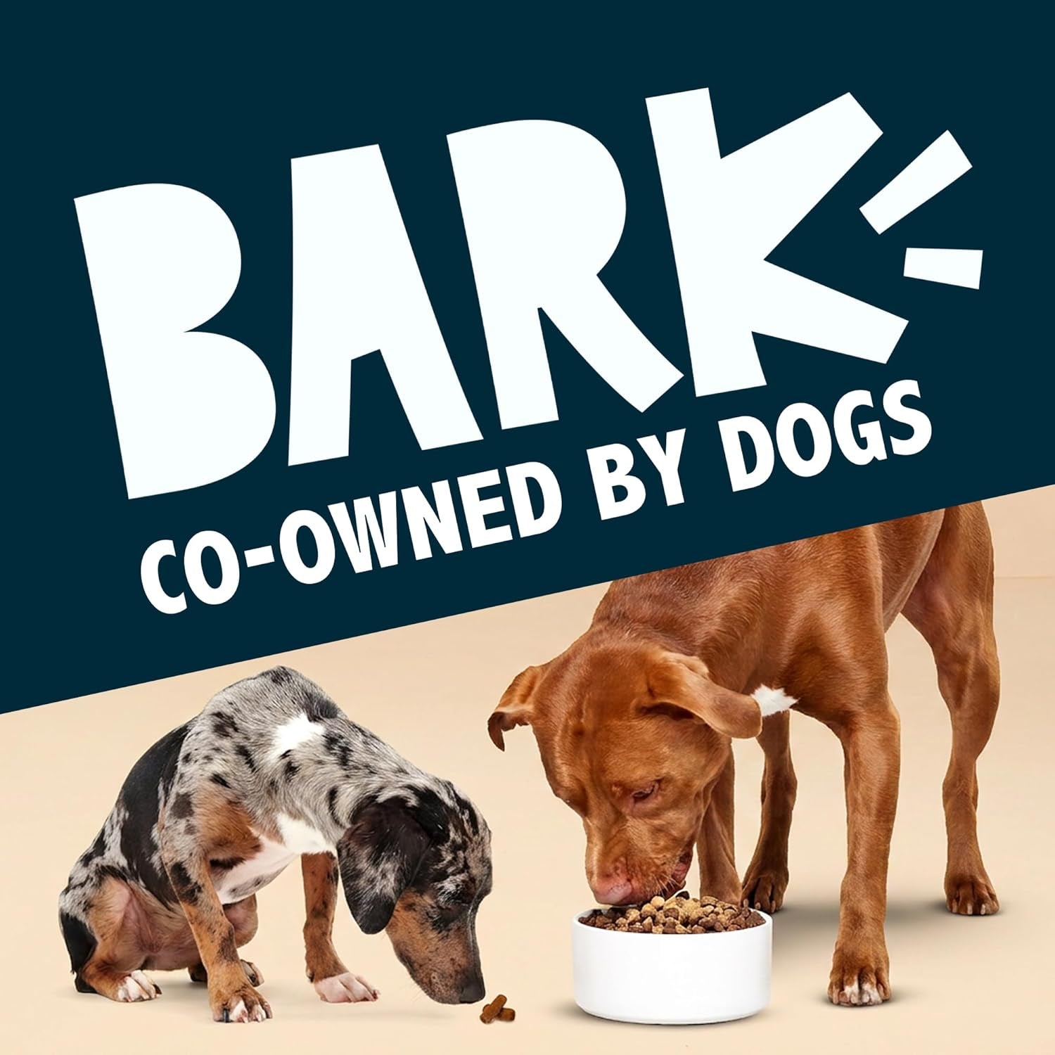 barkbox-bada-bing-beef-dry-dog-food-4-6-oz-topper-high-protein-beef-rosemary-sprinkles-meal-topper-for-dog-food