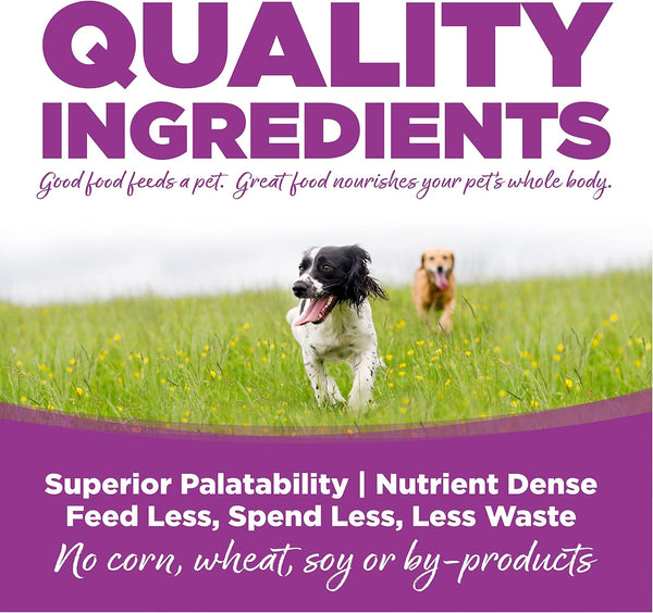 Nutrisource Large Breed Puppy Dry Dog Food, Chicken & Rice, 26 Lb | Probiotic & Prebiotic Support, DHA & EPA, Grain Inclusive, No Corn Wheat or Soy3