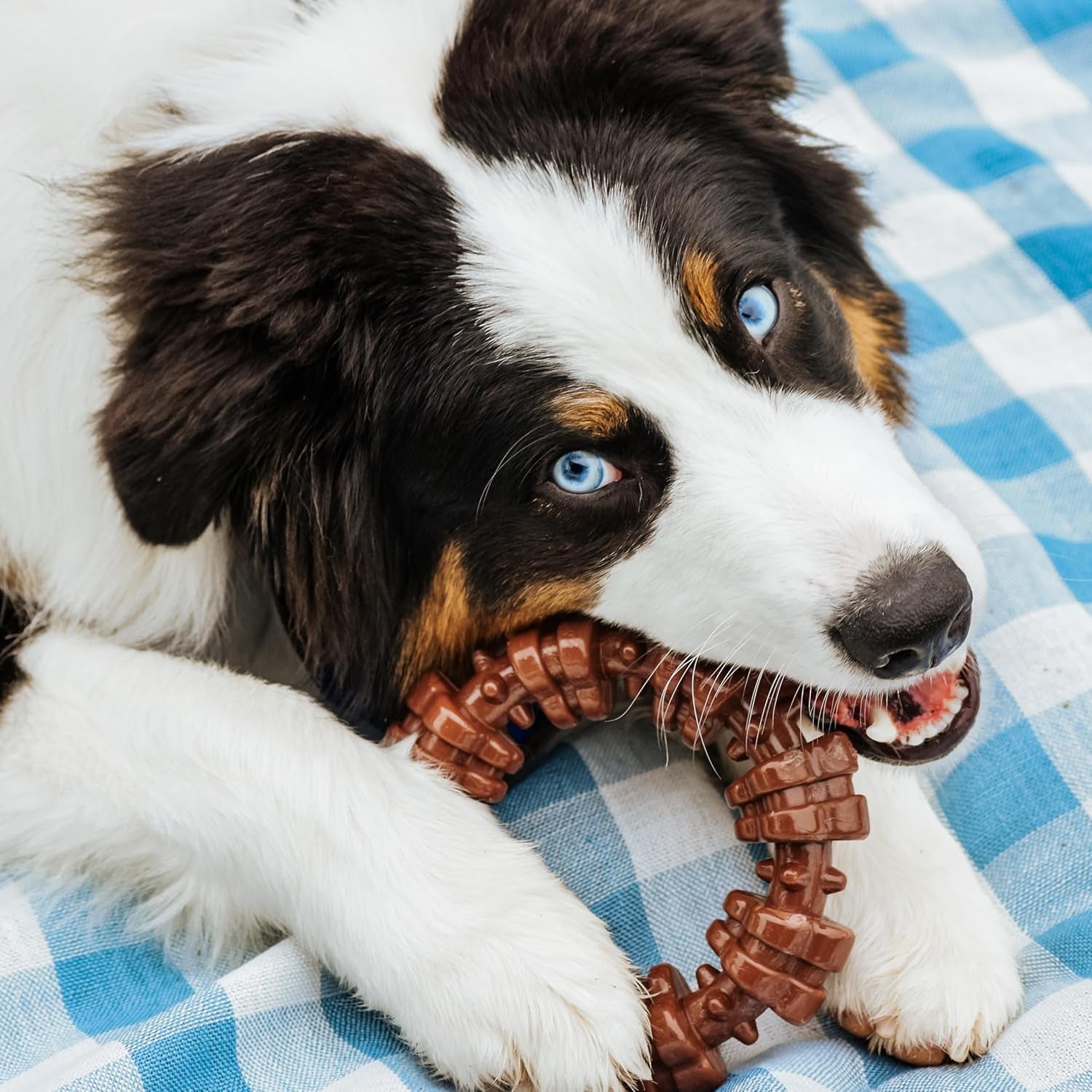 nylabone-power-chew-customer-favorites-dog-chew-toys-3-count-large-flavor-medley-peanut-butter-and-beef-flavor-durable-dog-toys-for-aggressive-chewers-for-large-breeds-up-to-50-lbs