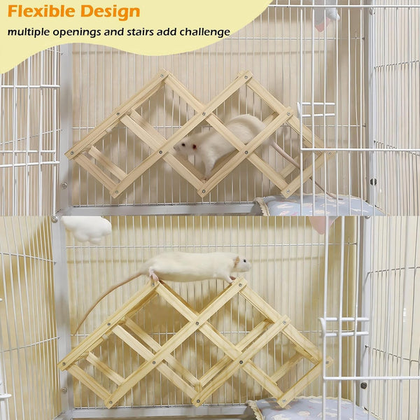 Kiln-Dried Wood Rat Climb Toy, Hanging Cage Ladder Activity (M, 1Pc) | Natural Rat Cage Bridge, Multiple Openings & Directional Ramps Offer Challenges to Satisfy Rats' Instincts for Explore & Play4