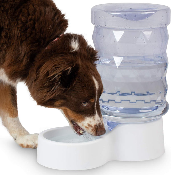 Petfusion H2O Gravity Pet Water Dispenser. Durable 2.5 Gallon Waterer Feeder. Automatic Station for Cats & Small, Medium, Large Dogs, Transparent7