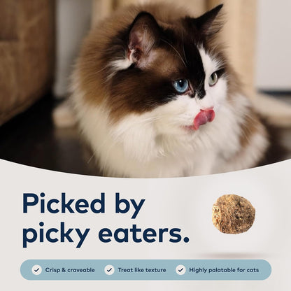 ZIWI Peak Steam & Dried Cat Food – Cage-Free Chicken W/Whole Mackerel - High Protein, Skin & Coat Health, Low Carb, for All Life Stages (28.8Oz)2