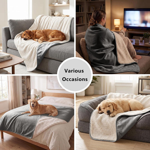 Waterproof Blanket for Dogs - Pet Throw as Furniture Protector | Cozy Sherpa & Smooth Velvet, Reversible and Machine Washable, for Couch and Bed, 60"X80", Dark Grey6