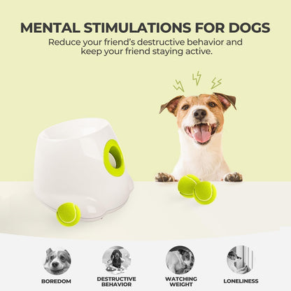 ALL for PAWS Automatic Dog Ball Launcher, Interactive Fetch Toy for Small to Medium Dogs, Pet Thrower Machine for Indoor & Outdoor Play, 3 Pcs 2-Inch Balls Included5