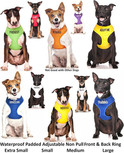 Dexil Limited Adopt ME (I Need a New Home) Yellow Color Coded Non-Pull Front and Back D Ring Padded and Waterproof Vest Dog Harness Prevents Accidents by Warning Others of Your Dog in Advance (S)4