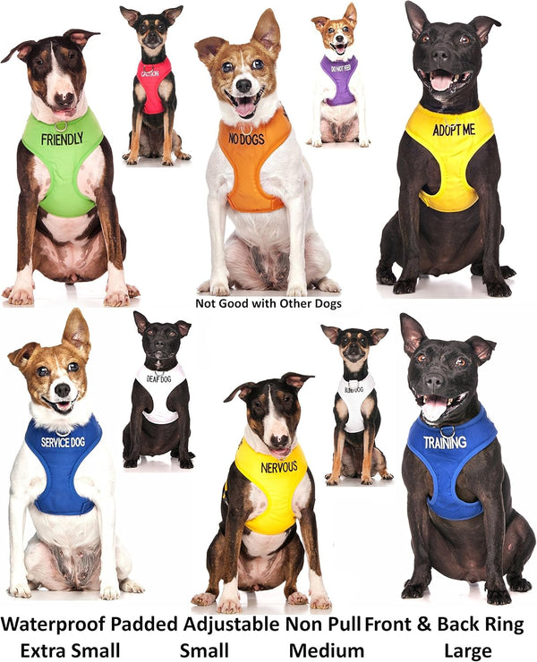 Dexil Limited Adopt ME (I Need a New Home) Yellow Color Coded Non-Pull Front and Back D Ring Padded and Waterproof Vest Dog Harness Prevents Accidents by Warning Others of Your Dog in Advance (S)4