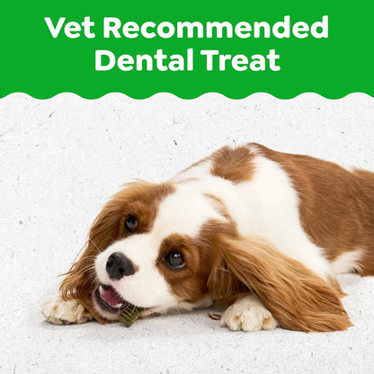 Greenies Puppy Teenie Natural Dental Dog Treats, Original Flavor, 22 Count | Veterinarian-Recommended, Natural Ingredients, Cleans Teeth & Freshens Breath, for Dogs 5-15 Lbs, 6 Oz. Pack3