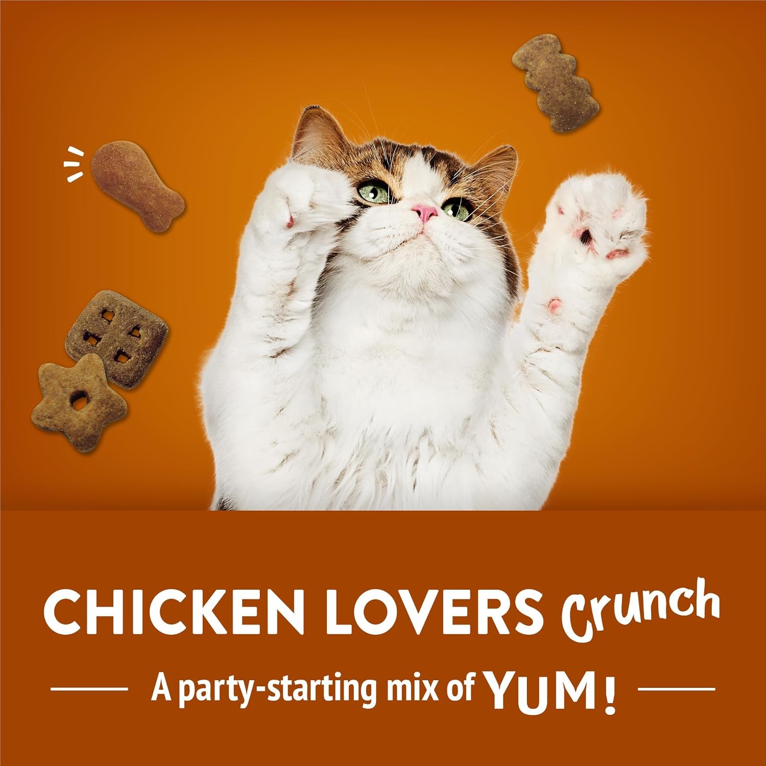 purina-friskies-party-mix-chicken-lovers-crunch-with-real-chicken-cat-treats-30-oz-canister