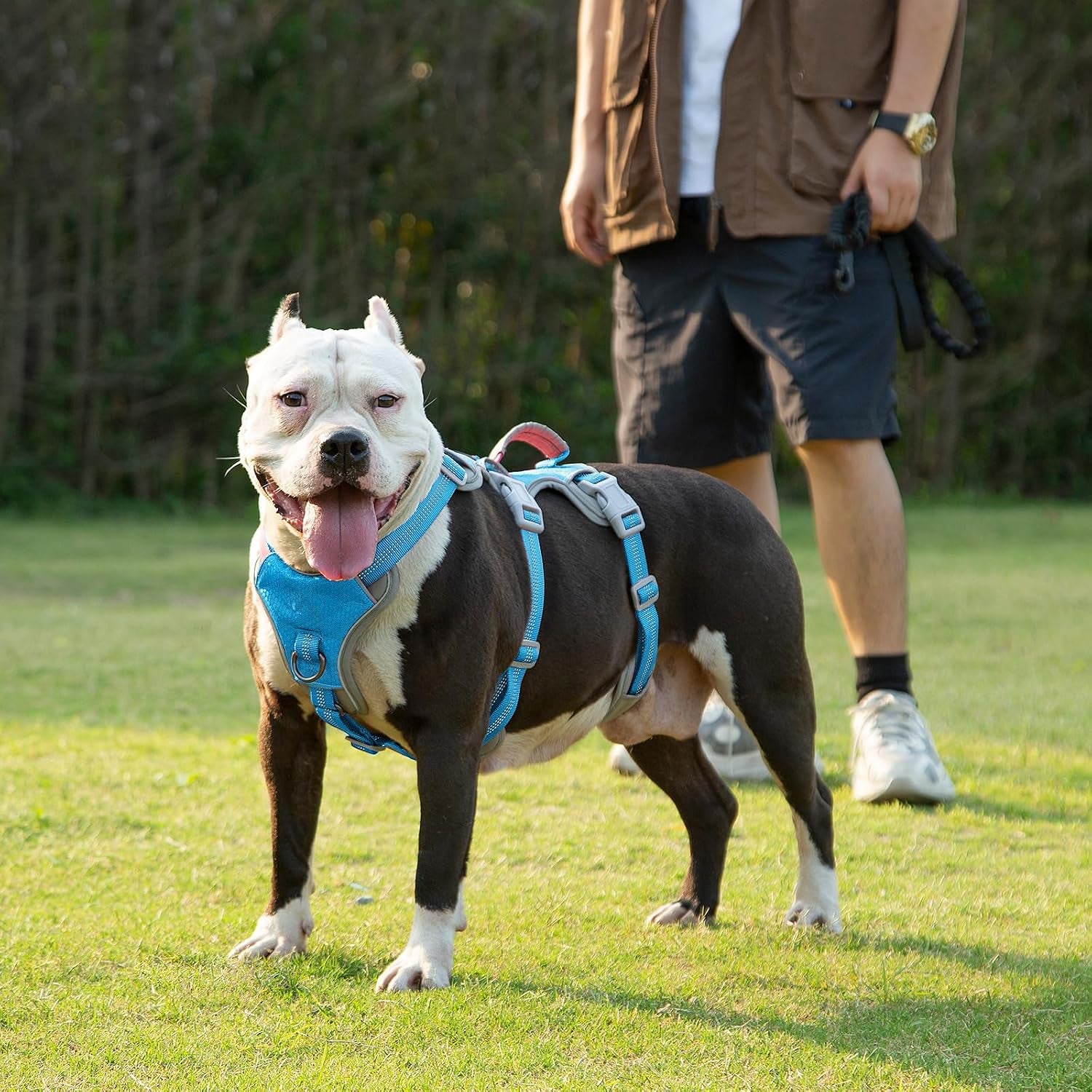 huntboo-escape-proof-dog-harness-escape-artist-harness-reflective-harness-with-padded-handle-breathable-durable-adjustable-vest-for-medium-dogs-walking-training-and-running-gear-blue-m