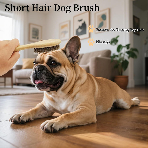 Soft Boar Bristle Dog Brush for Short Haired, Ideal Pet Hair Brush | Gentle Deshedding & Grooming Tool, Puppy Essentials for Grooming and Shedding7