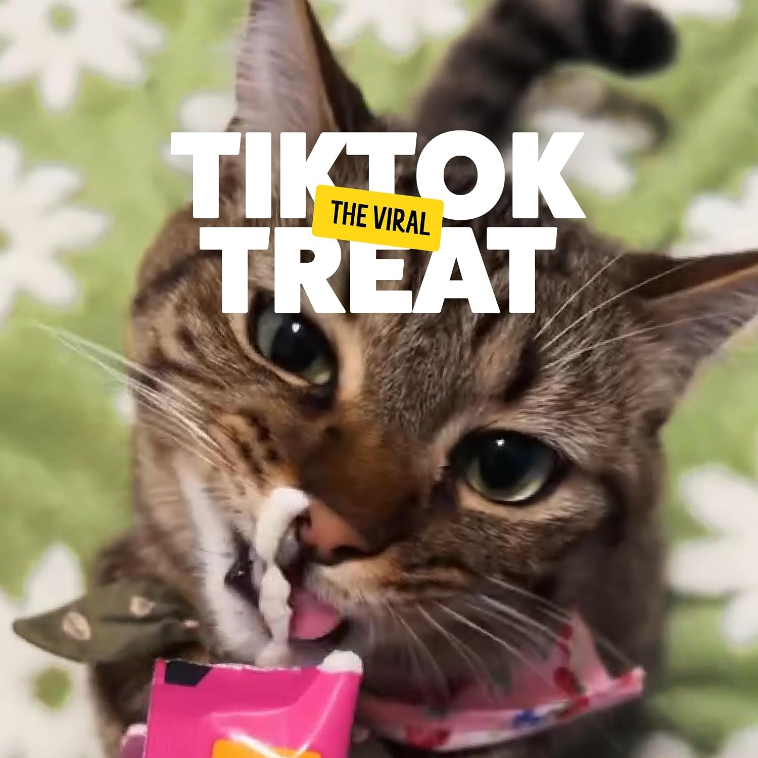 bonkers-licky-tubes-salmon-flavored-wet-cat-treats-4-pieces-pack-of-15