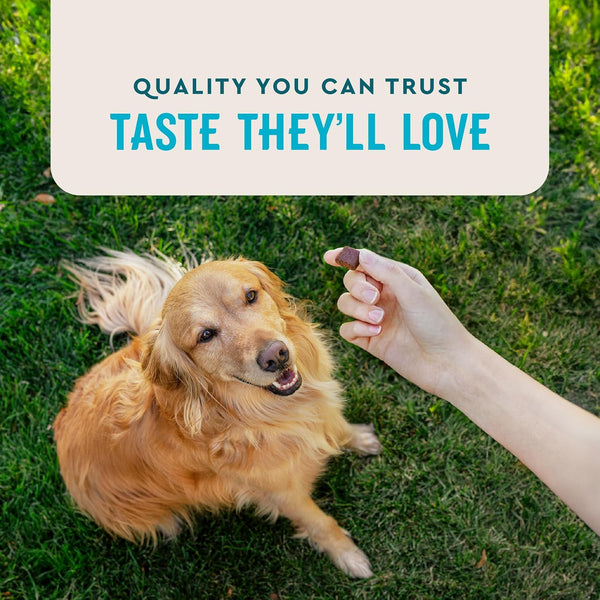 Vetiq Advanced Hip & Joint Chews, 60 Ct Chicken Flavor, Glucosamine for Dogs, Hip and Joint Supplement with Omega 3, Chondroitin, MSM, Green Lipped Mussel, Increases Mobility, Maintains Muscles | Increases Mobility & Maintains Muscle; Glucosamine, Chondroitin, MSM & Omega-3; Green Lipped Mussel; Chicken Flavor5