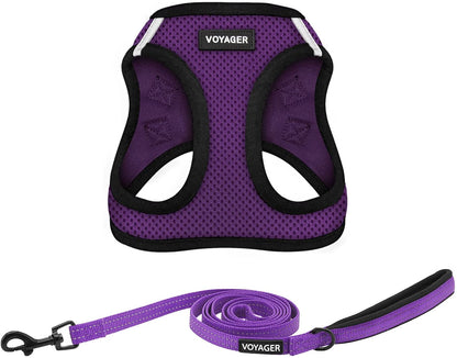 Best Pet Supplies Voyager Step-In Air All Weather Mesh Harness and Reflective Dog 5Ft Leash Combo with Neoprene Handle, for Small, Medium and Large Breed Puppies - Baby Blue, Small11