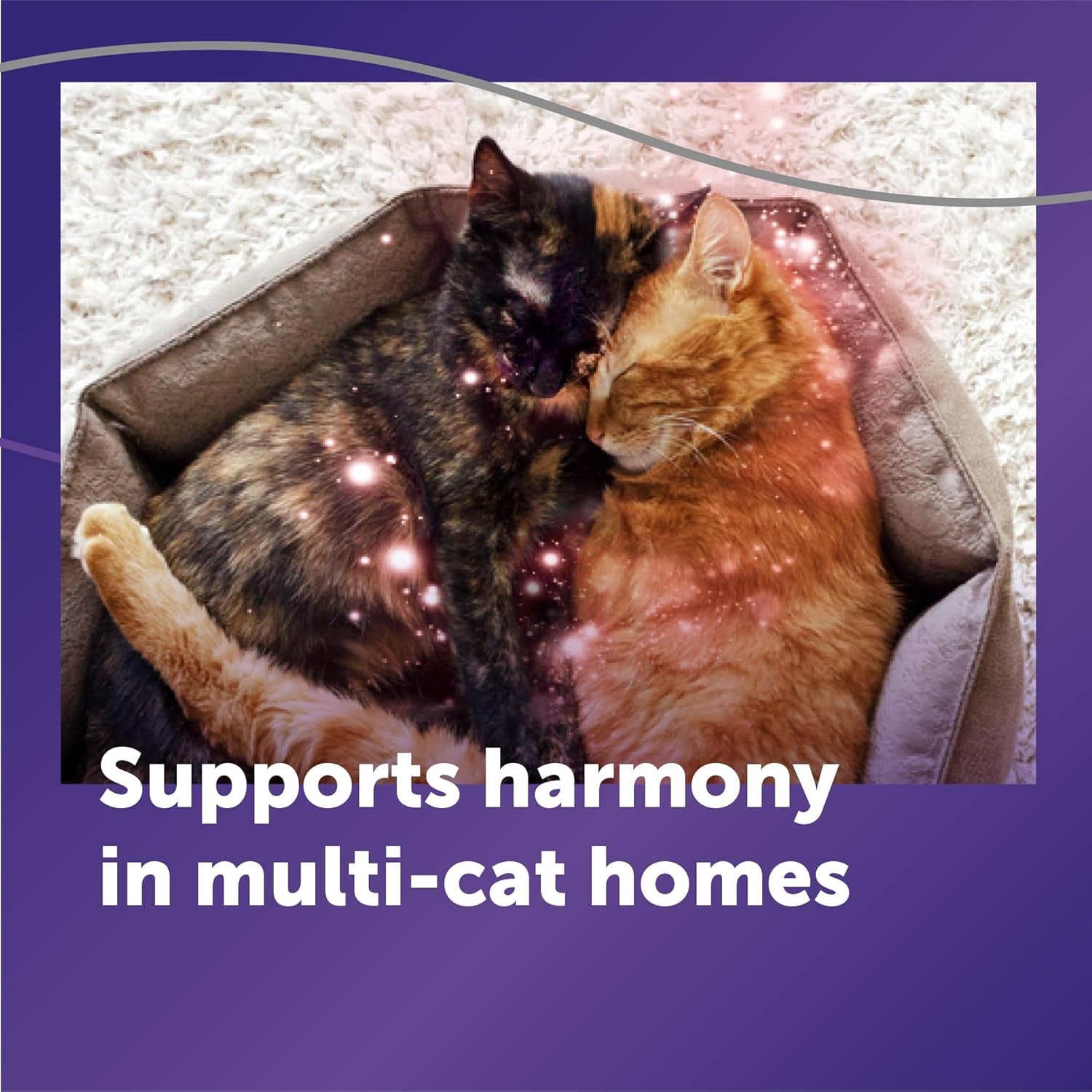 feliway-optimum-cat-calming-diffuser-kit-and-1-pack-refill-advanced-support-to-help-reduce-urine-spraying-scratching-fighting-and-hiding-due-to-stress-all-in-one-cat-pheromone-plug-in-diffuser