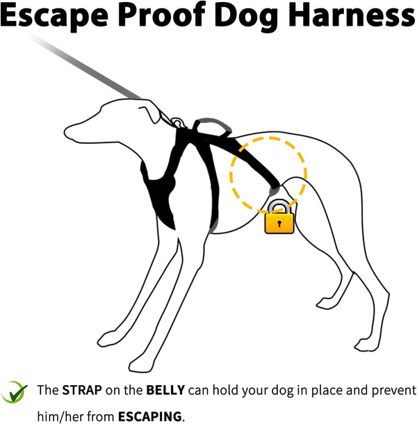 Huntboo Escape Proof Harness, No Slip Dog Harness Escape Proof, Fully Reflective Harness with Handle, Breathable, Durable, Adjustable Vest for Medium Dogs Walking and Training Gear (Black, M)2