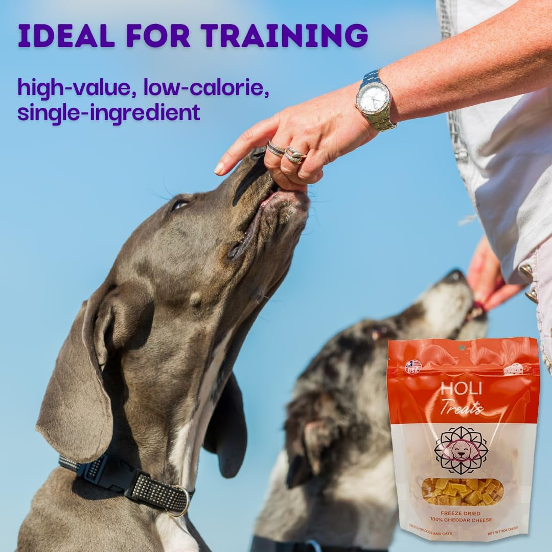 holi-freeze-dried-cheddar-cheese-dog-treats-100-all-natural-human-grade-single-ingredient-lactose-free-grain-free-gluten-free-soy-free-5-ounce
